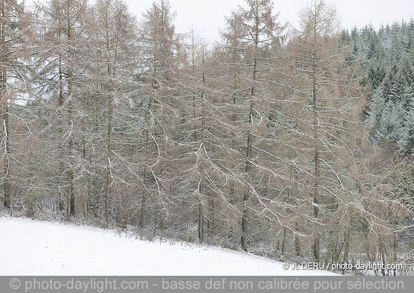 paysage hivernal  / winter landscape